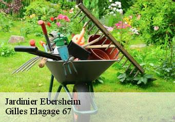 Jardinier  ebersheim-67600 Gilles Elagage 67