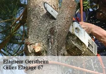 Elagueur  gerstheim-67150 Gilles Elagage 67
