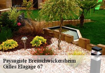Paysagiste  breuschwickersheim-67112 Gilles Elagage 67