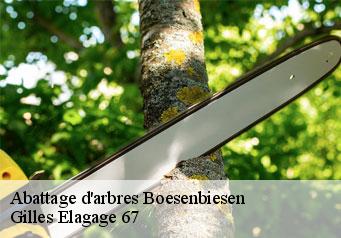 Abattage d'arbres  boesenbiesen-67390 Gilles Elagage 67