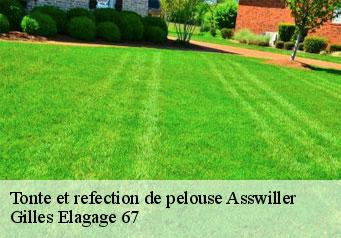 Tonte et refection de pelouse  asswiller-67320 Gilles Elagage 67