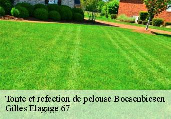 Tonte et refection de pelouse  boesenbiesen-67390 Gilles Elagage 67