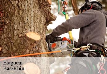 elagueur