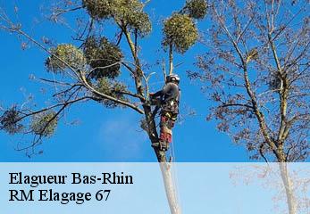 Elagueur 67 Bas-Rhin  RM Elagage 67