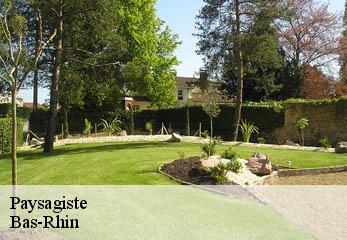 Paysagiste Bas-Rhin
