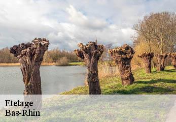 Etetage Bas-Rhin