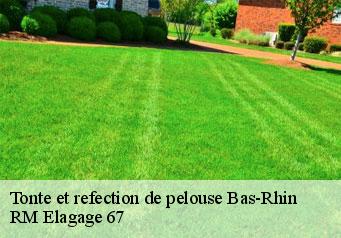Tonte et refection de pelouse 67 Bas-Rhin RM Elagage 67