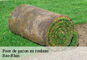 Pose de gazon en rouleau Bas-Rhin 