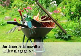 Jardinier  adamswiller-67320 Gilles Elagage 67