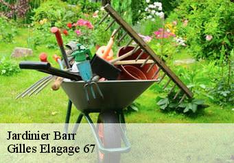 Jardinier barr-67140 Gilles Elagage 67