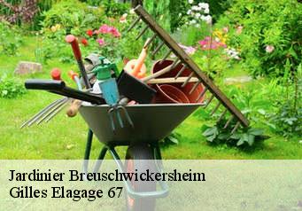 Jardinier  breuschwickersheim-67112 Gilles Elagage 67