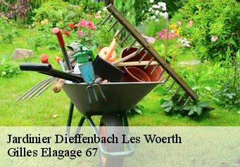 Jardinier  dieffenbach-les-woerth-67360 Gilles Elagage 67