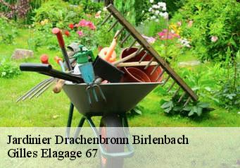 Jardinier drachenbronn-birlenbach-67160 Gilles Elagage 67