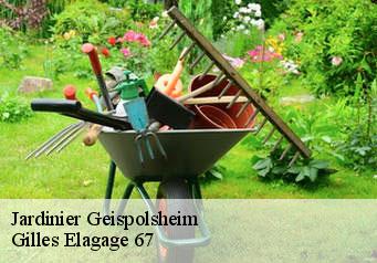 Jardinier geispolsheim-67400 Gilles Elagage 67