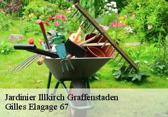 Jardinier  illkirch-graffenstaden-67400 Gilles Elagage 67
