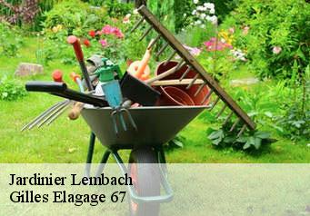 Jardinier lembach-67510 Gilles Elagage 67
