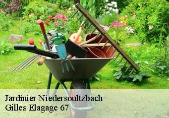 Jardinier  niedersoultzbach-67330 Gilles Elagage 67