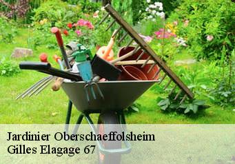 Jardinier oberschaeffolsheim-67203 Gilles Elagage 67