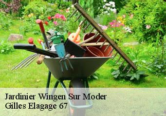 Jardinier  wingen-sur-moder-67290 Gilles Elagage 67