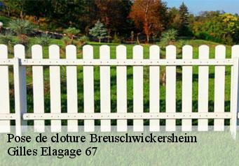 Pose de cloture  breuschwickersheim-67112 Gilles Elagage 67