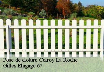 Pose de cloture  colroy-la-roche-67420 Gilles Elagage 67