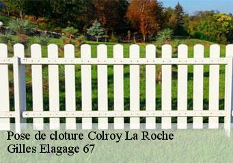Pose de cloture colroy-la-roche-67420 Gilles Elagage 67