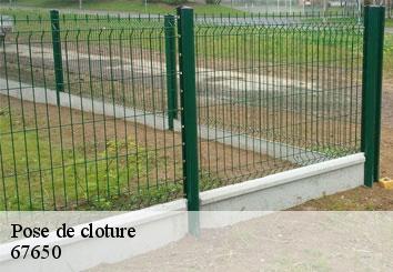 Pose de cloture 67650
