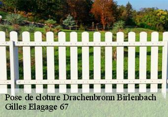 Pose de cloture  drachenbronn-birlenbach-67160 Gilles Elagage 67