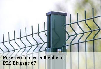 Pose de cloture duttlenheim-67120 RM Elagage 67