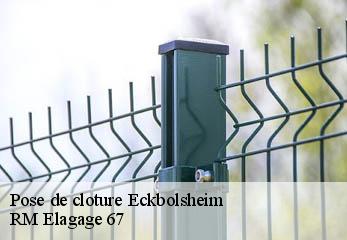 Pose de cloture  eckbolsheim-67201 RM Elagage 67