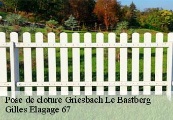 Pose de cloture  griesbach-le-bastberg-67330 Gilles Elagage 67