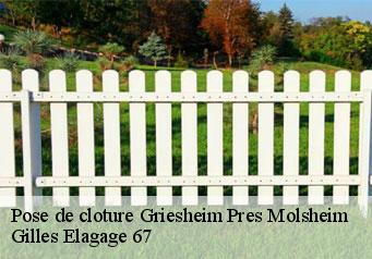 Pose de cloture  griesheim-pres-molsheim-67210 Gilles Elagage 67