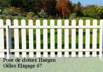Pose de cloture  haegen-67700 Gilles Elagage 67