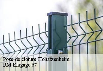Pose de cloture hohatzenheim-67170 RM Elagage 67
