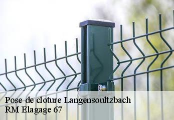 Pose de cloture  langensoultzbach-67360 Gilles Elagage 67