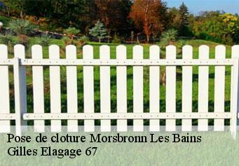 Pose de cloture  morsbronn-les-bains-67360 Gilles Elagage 67