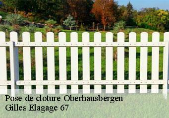 Pose de cloture oberhausbergen-67205 Gilles Elagage 67