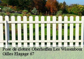 Pose de cloture  oberhoffen-les-wissenbour-67160 Gilles Elagage 67