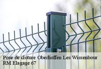 Pose de cloture oberhoffen-les-wissenbour-67160 RM Elagage 67