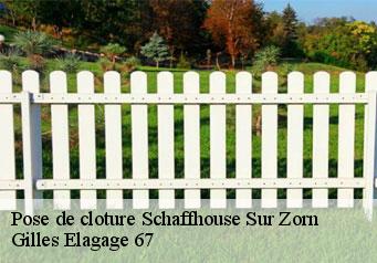 Pose de cloture  schaffhouse-sur-zorn-67270 Gilles Elagage 67