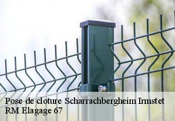 Pose de cloture scharrachbergheim-irmstet-67310 RM Elagage 67