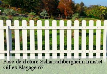 Pose de cloture  scharrachbergheim-irmstet-67310 Gilles Elagage 67