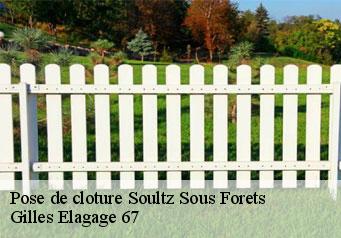 Pose de cloture  soultz-sous-forets-67250 Gilles Elagage 67