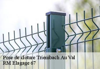 Pose de cloture triembach-au-val-67220 RM Elagage 67