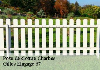 Pose de cloture  charbes-67220 Gilles Elagage 67