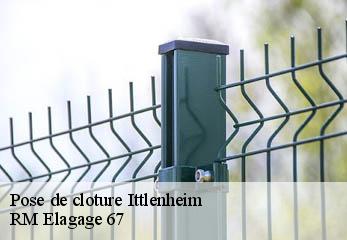 Pose de cloture  ittlenheim-67370 RM Elagage 67