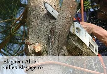 Elagueur  albe-67220 Gilles Elagage 67