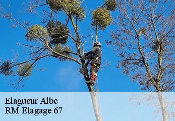Elagueur albe-67220 RM Elagage 67