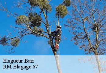 Elagueur barr-67140 RM Elagage 67