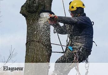 elagueur